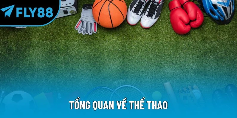 the-thao-fly88-bat-nhip-keo-nhanh-xem-tran-da-choi-tinh-tao