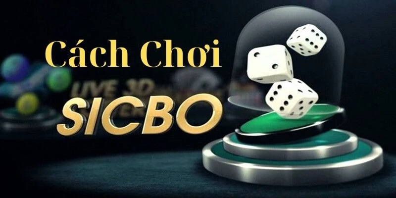 cach-choi-sicbo-tai-xiu-nam-luat-lac-xuc-xac-va-dat-cuoc-chuan