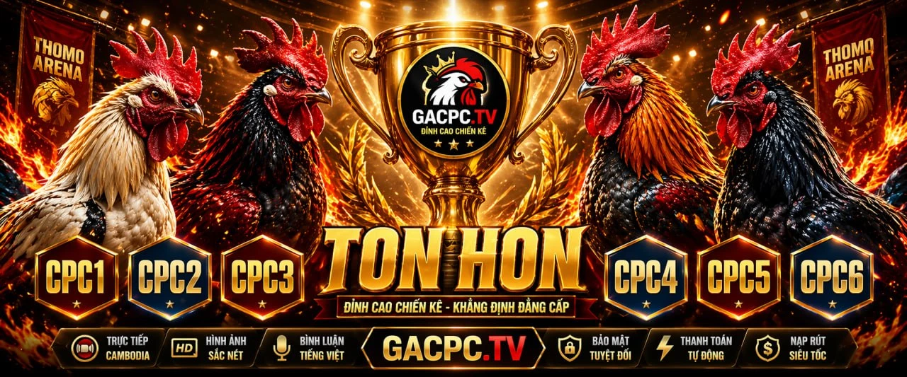 gacpctv-truc-tiep-da-ga-thomo