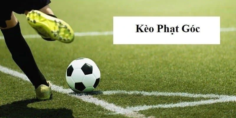 keo-phat-goc-la-nhu-the-nao-bi-kip-bat-keo-hieu-qua-nhat
