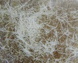 Pb(N3)2-Chi+azua-1870