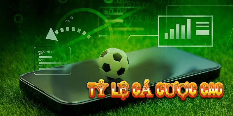 kham-pha-sanh-the-thao-8live-dinh-cao-trai-nghiem-ca-cuoc-2404