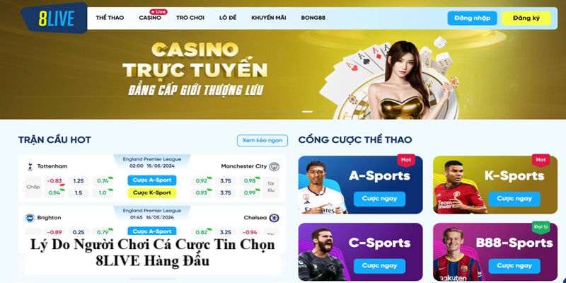 ly-do-nguoi-choi-ca-cuoc-tin-chon-8live-hang-dau-2480