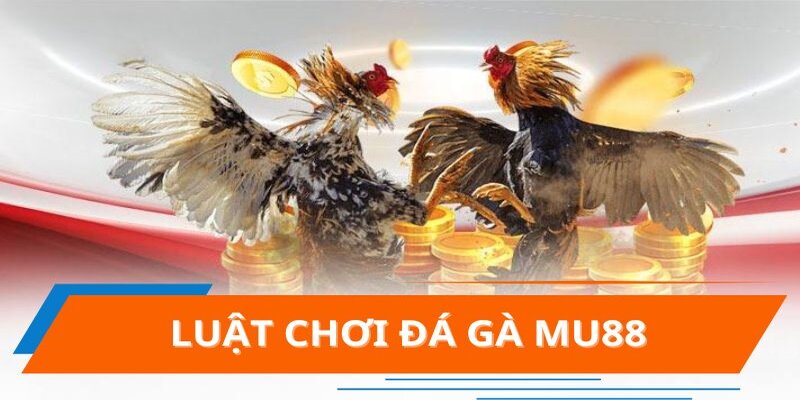 da-ga-8kbet-noi-hoi-tu-nhung-cuoc-chien-dinh-cao-2616