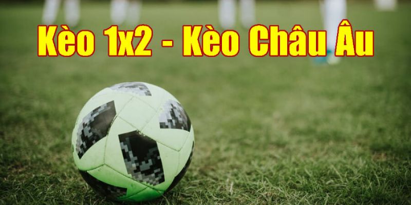 keo-nha-cai-hom-nay-bi-quyet-giup-bet-thu-thang-lon-3620