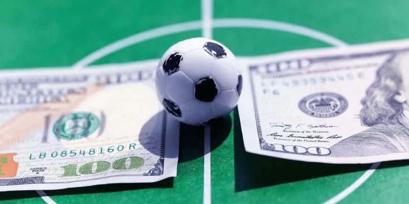 kinh-nghiem-choi-keo-chan-le-danh-cho-tan-binh-tu-a-z-3651