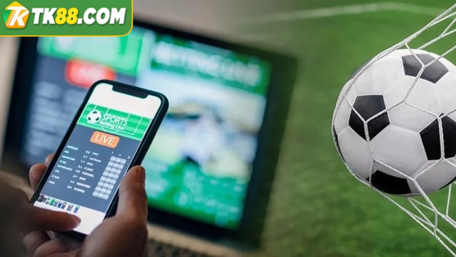 tai-xiu-2-trai-la-sao-huong-dn-ban-doc-keo-tai-paperwritinghelp247-4000