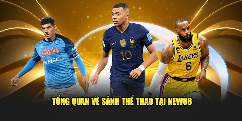 the-thao-new88--san-choi-ca-cuoc-the-thao-da-dang-va-hap-dn-4289
