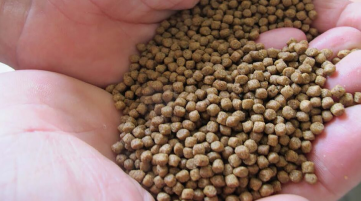 thuc-an-ca-da-tron-dinh-duong-toi-uu-ca-lon-nhanh-khoe-manh-4341