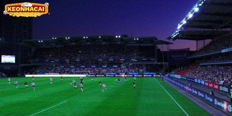 keo-nha-cai-trong-tam-tay-toi-uu-loi-nhuan-ca-cuoc-4644