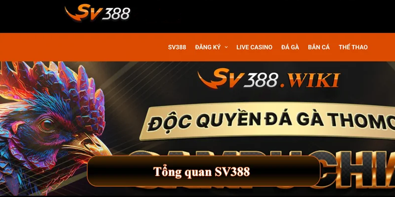 dang-ky-sv388--buoc-khoi-dau-tham-gia-ca-cuoc-dinh-cao-4683