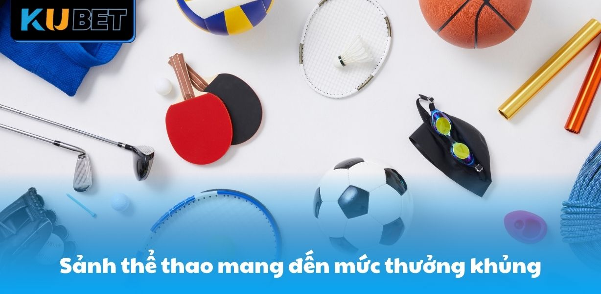 the-thao-tai-trang-fr8896-vo-san-hinh-thuc-ca-cuoc-dinh-cao-5125