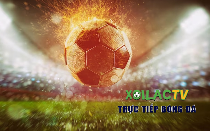 trai-nghiem-xem-bong-da-khong-the-chan-that-hon-voi-trang-web-cua-xoilac-tv-5238