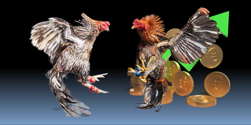 da-ga-thomo-tai-sodo66--dau-truong-truc-tuyen-danh-gia-2026-5520