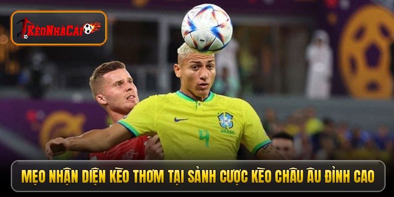 keo-chau-au-cach-doc-keo-1x2-cuc-chuan-cho-nguoi-moi-choi-5535